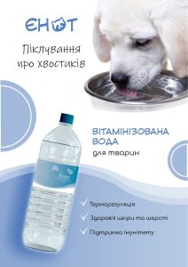 photo_5301030941361304061_y