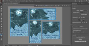 photo_5319213522200161027_y