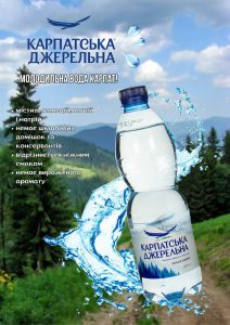 photo_5343944734164508235_y