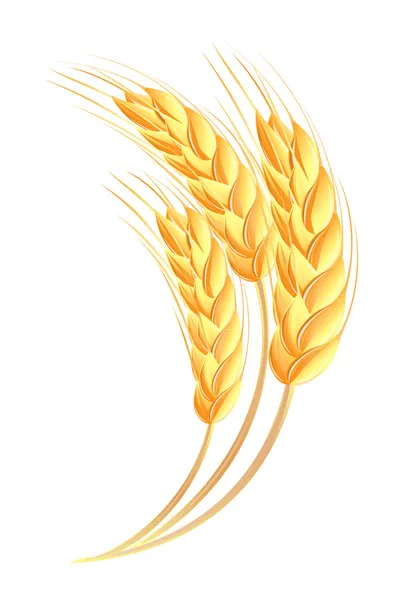depositphotos_11921770-stock-illustration-wheat-ears-icon
