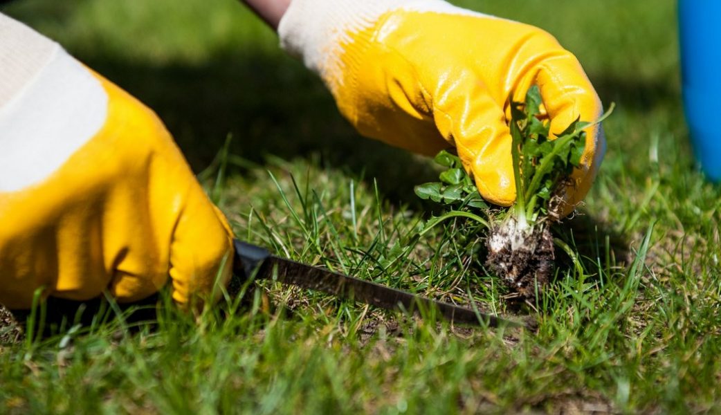 1613576573_a408874eedf9e2e91800