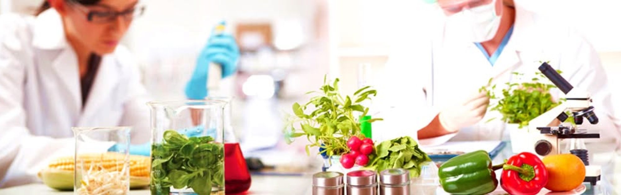 460532957_1907007093059013_3524457024931802336_n